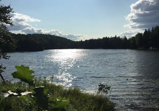 Terrain à vendre - 238 Ch. Braemar, Lachute, J8H 3W8