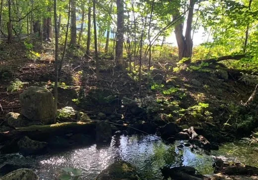 Land for Sale -  Ch. de l'Étang-Sugar Loaf, Mansonville, J0E 1X0