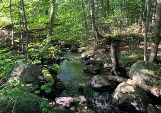 Land for sale -  Ch. de l'Étang-Sugar Loaf, Mansonville, J0E1X0