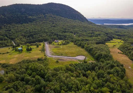 Terrain à vendre -  Ch. de l'Étang-Sugar Loaf, Mansonville, J0E 1X0