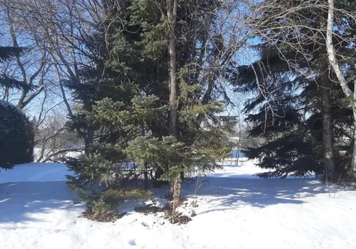 Terrain à vendre - 415 Boul. de L'Assomption, Repentigny, J6A 1C3
