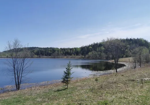 Terrain à vendre - 6 Ch. du Marigot, Mont-Laurier, J0W1J0