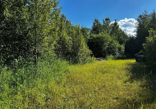 Land for sale - 40 Rue Principale, St-Pierre-De-Broughton, G0N1T0