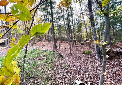 Terrain à vendre -  Ch. Lobel, Brownsburg-Chatham, J8G2L8