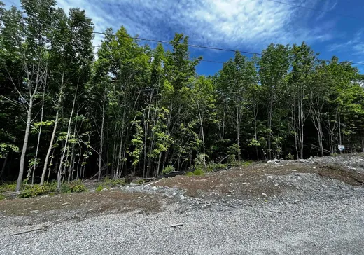 Terrain à vendre -  Rue Victoria, Hatley, J1H 0J2