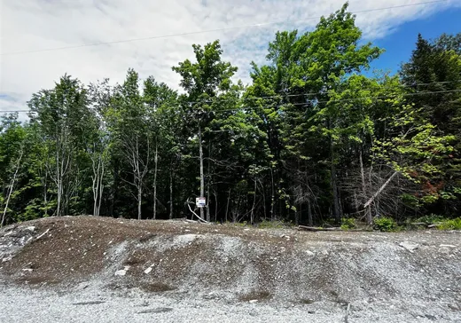 Terrain à vendre -  Rue Victoria, Hatley, J1H 0J2