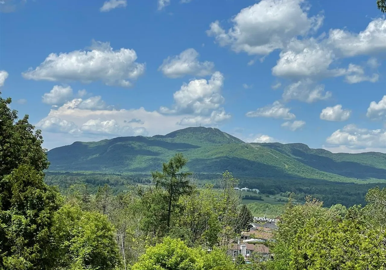 Terrain à vendre -  Rue du Sergent-Arthur-Boucher, Magog, J1X 1A4