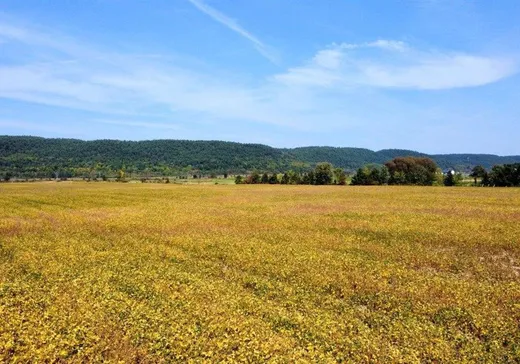 Terrain à vendre -  Rue Principale, Fassett, J0V 1H0