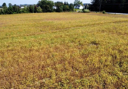 Terrain à vendre -  Rue Principale, Fassett, J0V 1H0