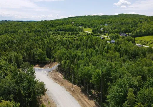 Terrain à vendre -  Rue Victoria, Hatley, J1H 0J2