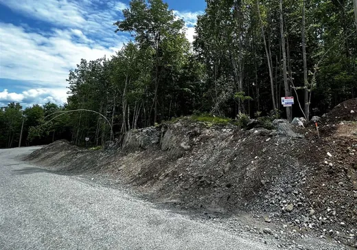 Terrain à vendre -  Rue Victoria, Hatley, J1H 0J2