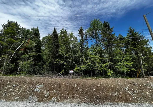 Land for sale -  Rue Victoria, Sherbrooke, J1H0J2