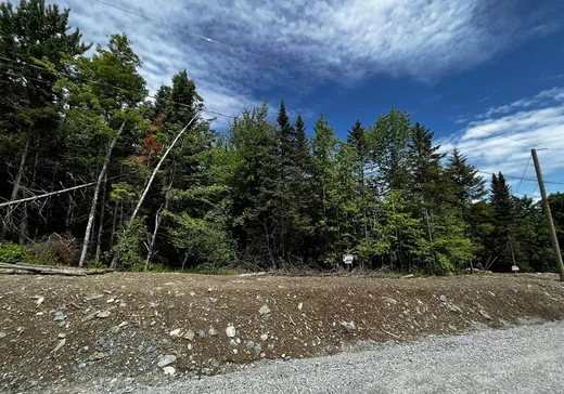 Terrain à vendre -  Rue Victoria, Hatley, J1H 0J2