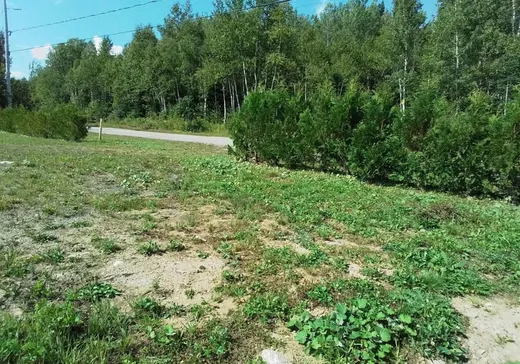 Terrain à vendre -  Ch. des Bouleaux, St-Tite-Des-Caps, G0A4J0