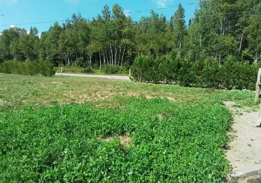 Terrain à vendre -  Ch. des Bouleaux, St-Tite-Des-Caps, G0A 4J0