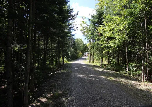 Terrain à vendre -  Ch. de la Bécasse, Notre-Dame-Des-Boies, J0B 2J0