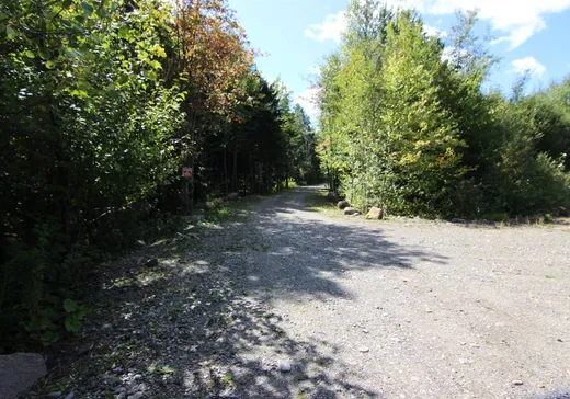 Terrain à vendre -  Ch. de la Bécasse, Notre-Dame-Des-Boies, J0B 2J0