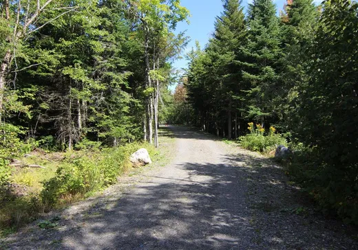 Terrain à vendre -  Ch. de la Bécasse, Notre-Dame-Des-Boies, J0B 2J0