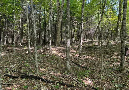 Land for sale -  Ch. des Labradors, Harrington, J8G2T3