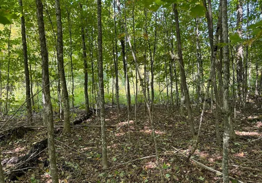 Land for Sale -  Ch. des Labradors, Harrington, J8G 2T3