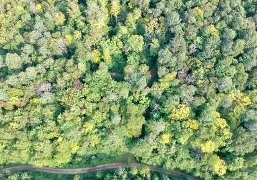 Land for sale - 42 Ch. du Lac-Bélisle, Lac-Des-Plages, J0T1K0