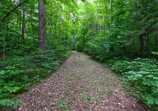 Terrain à vendre - 42 Ch. du Lac-Bélisle, Lac-Des-Plages, J0T 1K0