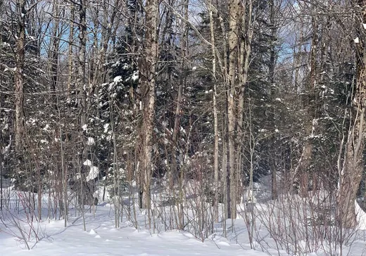 Terrain à vendre -  Route 214, Lac-Mégantic, G0Y1E0