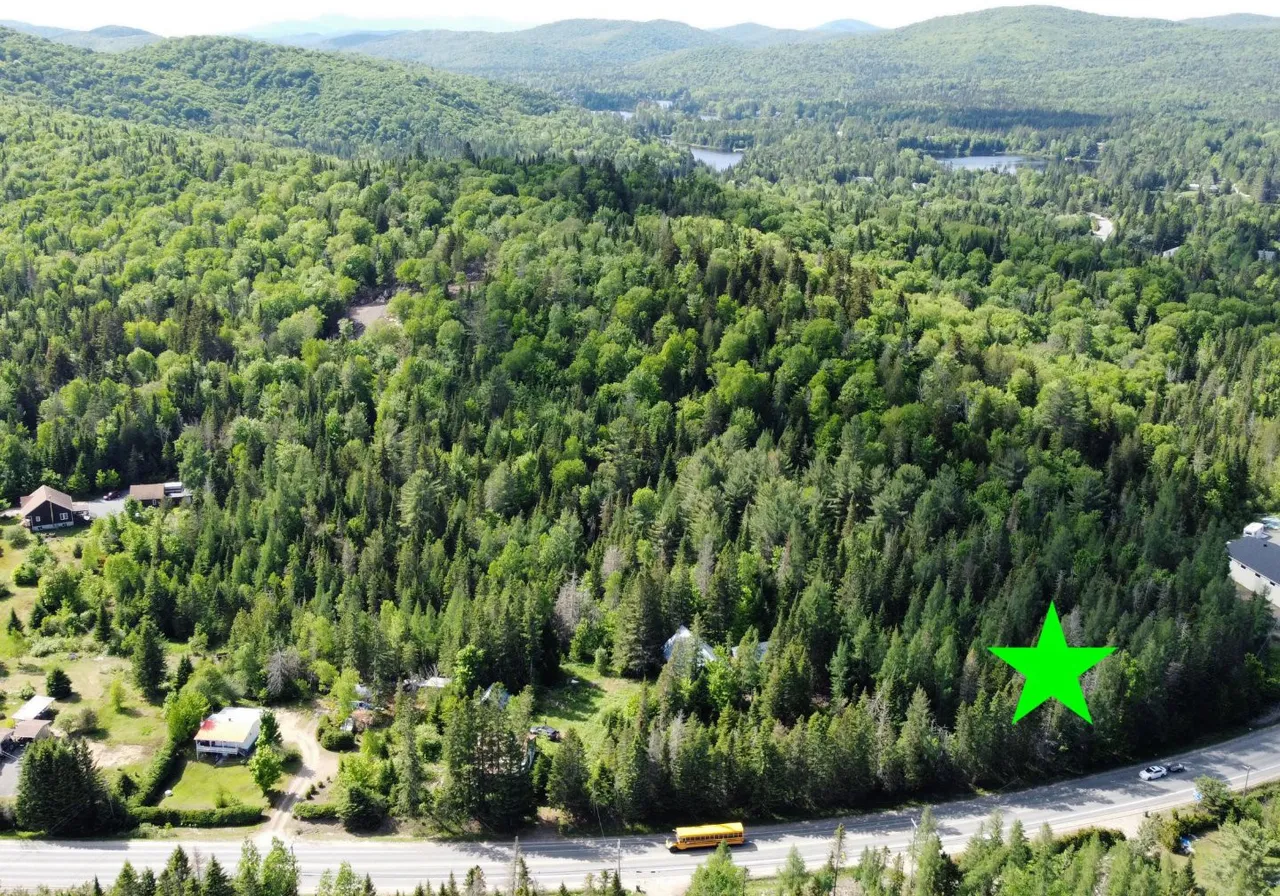 Terrain à vendre -  Route 329 N., Sainte-Agathe-des-Monts, J8C 0M2