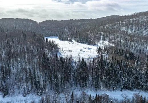 Terrain à vendre -  Ch. du Lac-Colibri, Mont-Tremblant, J0T 1J2