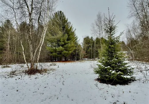 Terrain à vendre - 938 Rg des Chalets, Sainte-Clotilde-de-Horton, J0A 1H0