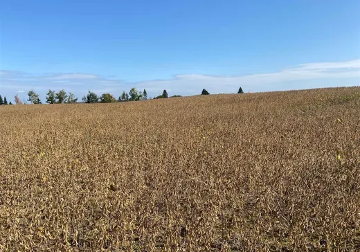 Land for Sale - 728 Route 108, Saint-Alfred, G0M 1L0