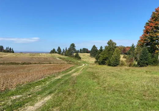 Land for Sale - 728 Route 108, Saint-Alfred, G0M 1L0