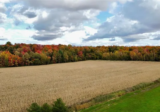 Terrain à vendre - X Rg Sarasteau, Saint-Bernard-de-Michaudville, J0H 1C0