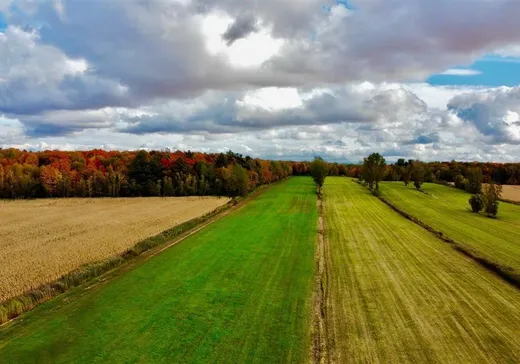Terrain à vendre - X Rg Sarasteau, Saint-Bernard-de-Michaudville, J0H 1C0