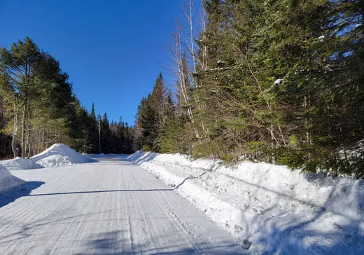 Terrain à vendre -  Crois. des Trois-Lacs, Lantier, J0T 1V0