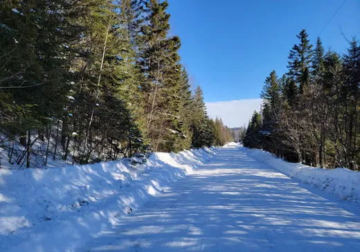 Terrain à vendre -  Crois. des Trois-Lacs, Lantier, J0T 1V0