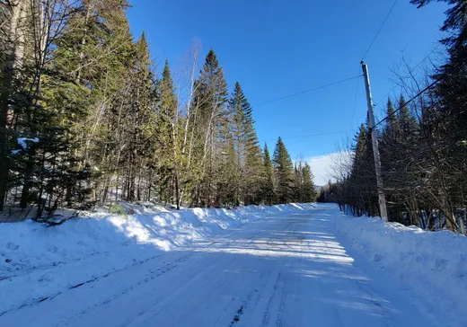 Terrain à vendre -  Crois. des Trois-Lacs, Lantier, J0T 1V0
