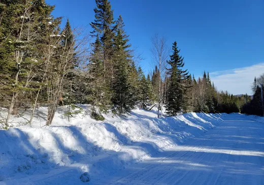 Terrain à vendre - A Crois. des Trois-Lacs, Lantier, J0T 1V0