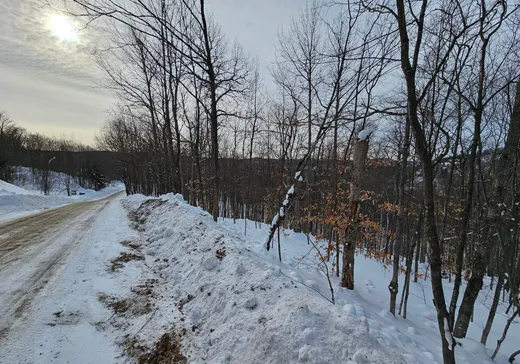 Terrain à vendre -  Rue Paulsen, Sainte-Agathe-des-Monts, J8C0X1