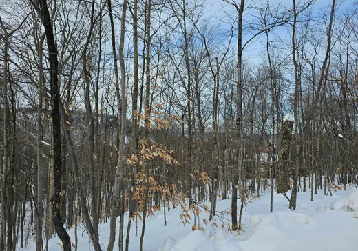 Land for Sale -  Rue Paulsen, Sainte-Agathe-des-Monts, J8C 0X1