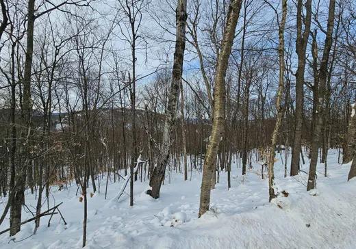 Land for Sale -  Rue Paulsen, Sainte-Agathe-des-Monts, J8C 0X1