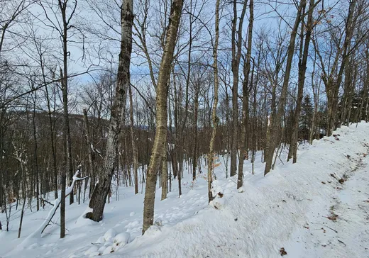 Land for sale -  Rue Paulsen, Sainte-Agathe-des-Monts, J8C0X1
