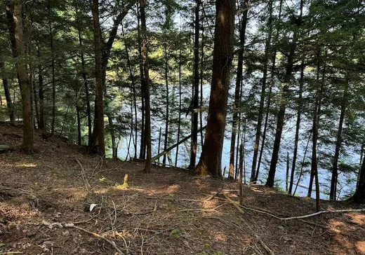 Terrain à vendre -  Rue des Trilliums, Gore, J0V 1K0