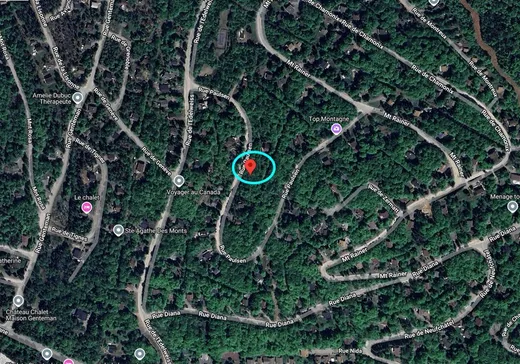 Terrain à vendre -  Rue Paulsen, Sainte-Agathe-des-Monts, J8C0X1