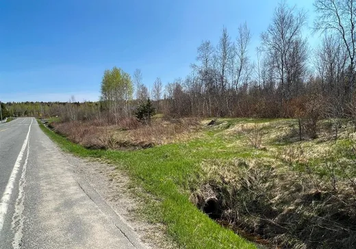 Terrain à vendre -  Rue Lavoie, Thetford Mines, G0N1E0