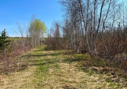Land for Sale -  Rue Lavoie, Thetford-Mines, G0N 1E0
