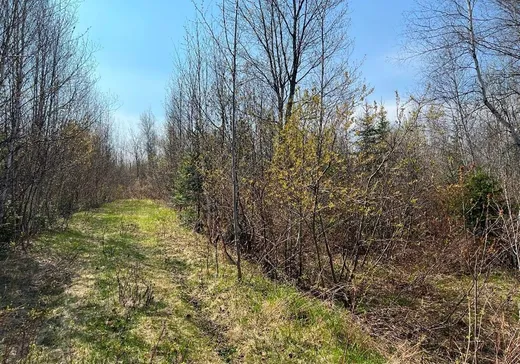 Land for Sale -  Rue Lavoie, Thetford-Mines, G0N 1E0
