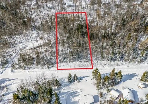 Terrain à vendre - 83 Ch. de la Perdrix, Notre-Dame-Des-Boies, J0B2E0