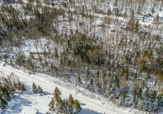 Land for Sale - 83 Ch. de la Perdrix, Notre-Dame-Des-Boies, J0B 2E0