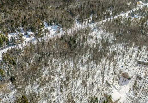 Land for Sale - 83 Ch. de la Perdrix, Notre-Dame-Des-Boies, J0B 2E0